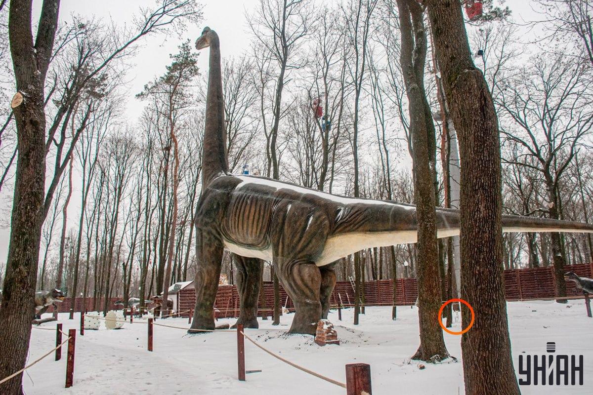 Hunden var nära det nedre vänstra hörnet av bilden / Moje collage