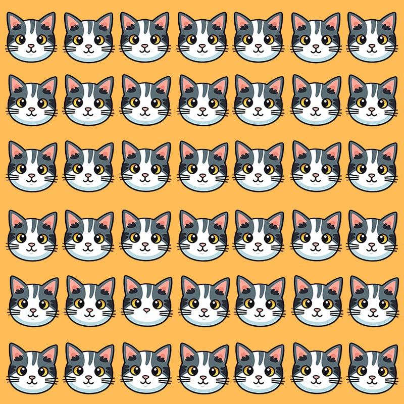 Denna optiska illusion är bara möjlig för personer med grandios IQ / Moje-bild